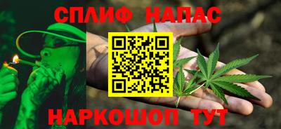 шишки Гатчина