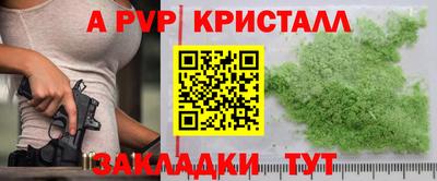 шишки Гатчина