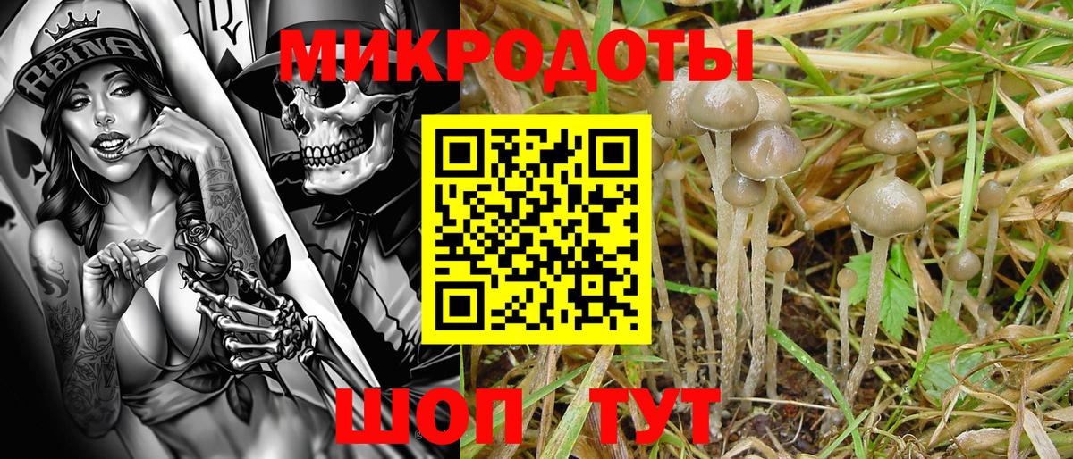 Псилоцибиновые грибы мухоморы Воткинск
