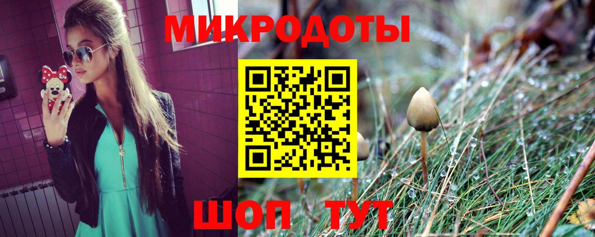 Воткинск  Псилоцибиновые грибы Psilocybe  Вход с VPN 